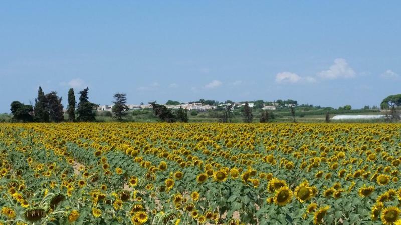 Villa Manet Portiragnes Bagian luar foto